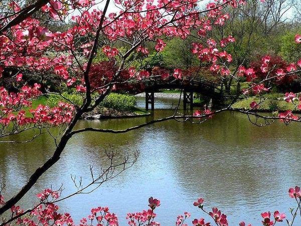 新房開荒保潔的驗(yàn)收標(biāo)準(zhǔn)涉及到哪些方面